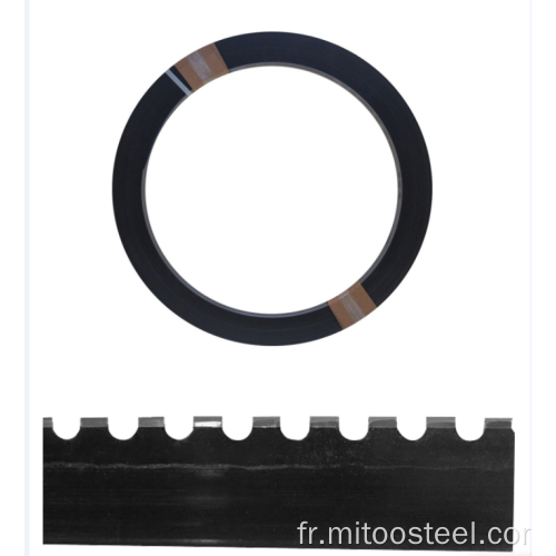 Règle de coupe de la matrice Meilleur prix 2pt * 23,8 mm